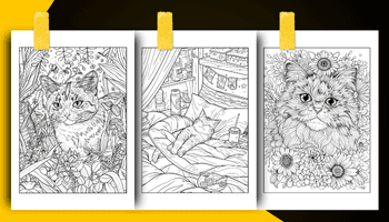 Cat Coloring Book For Adults and Teens Coloring Sheets Examples