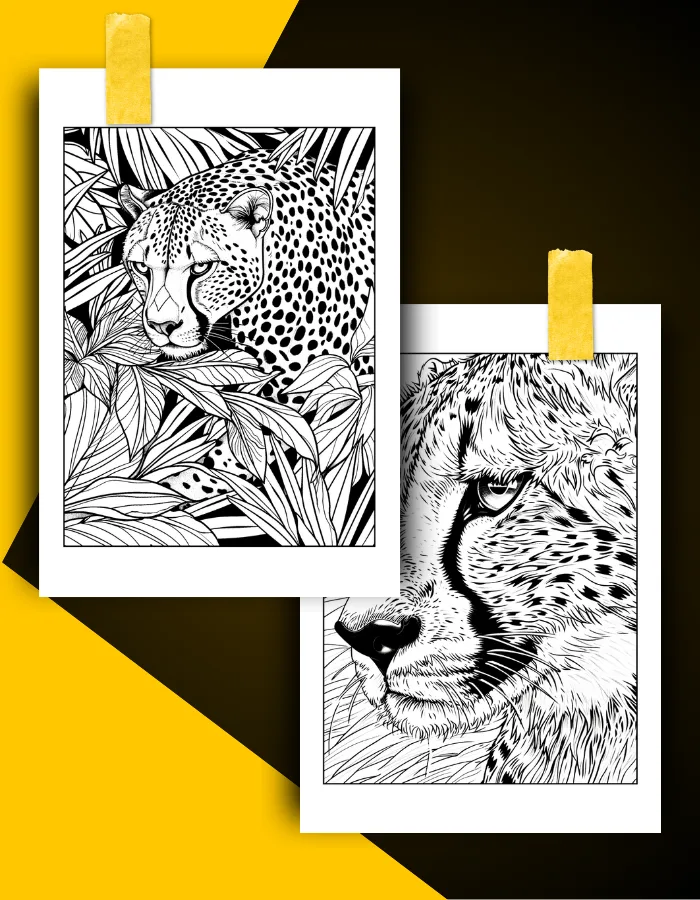 Cheetah Coloring Book Pages Examples