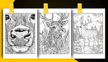 Deer Coloring Book For Adults and Teens Coloring Sheets Examples