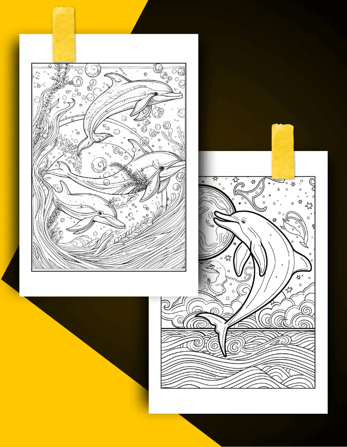 Dolphin Coloring Book Pages Examples