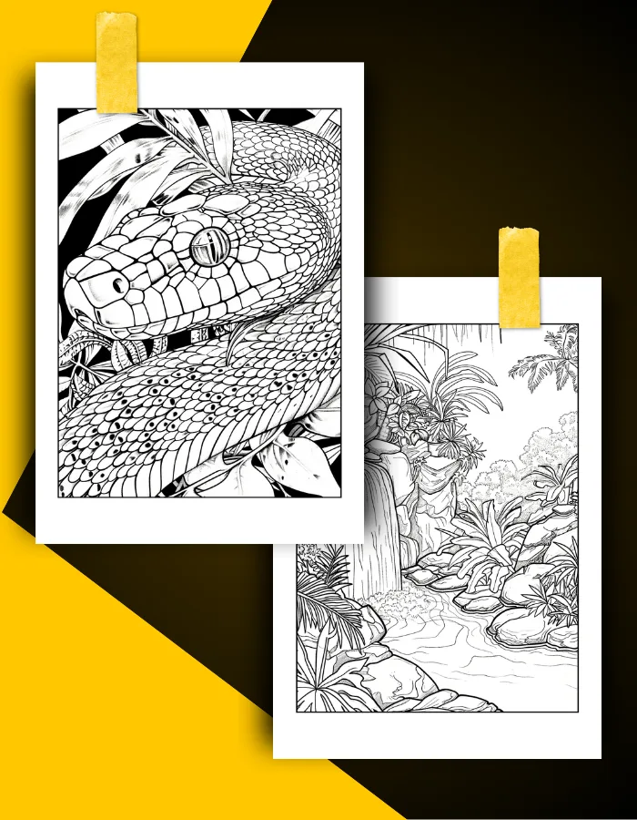 Jungle Coloring Book Pages 23 Jungle Coloring Book Pages Examples