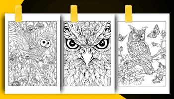 Owl Coloring Book For Adults and Teens Coloring Sheets Examples