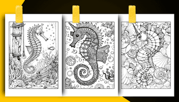 Seahorse Coloring Book For Adults and Teens Coloring Sheets Examples