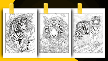 Tiger Coloring Book For Adults and Teens Coloring Sheets Examples