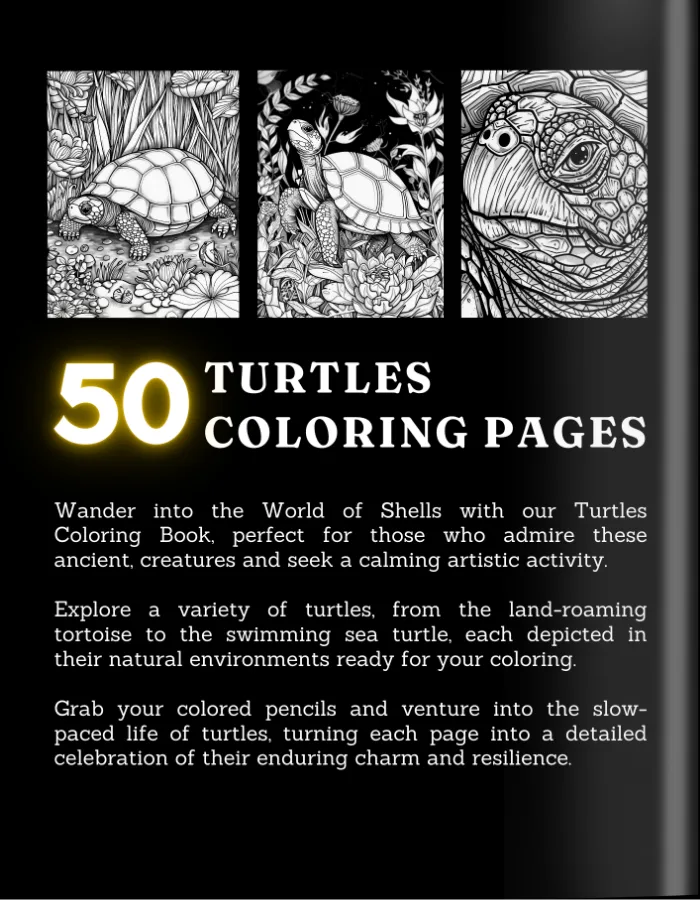 Turtle Coloring Book For Adults and Teens Cover