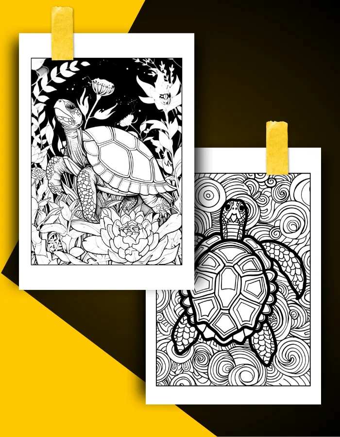 Turtle Coloring Book Pages Examples 2